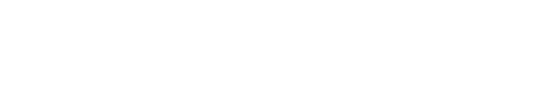 WEB Design Development Hosting